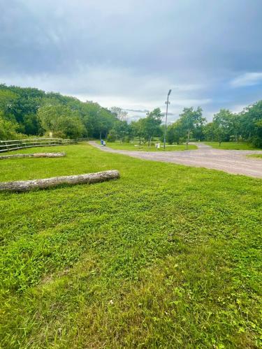 Springfield Oaks campsite in Newport North