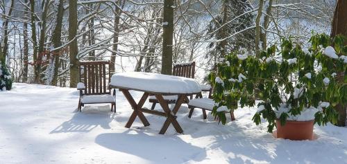 Schöne Wohnung im Naturidyll (Schone Wohnung im Naturidyll) in Herleshausen