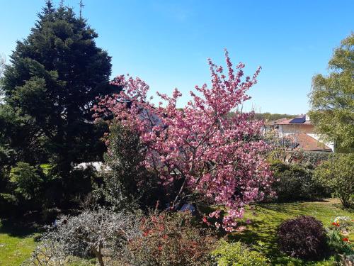 rest in a garden in Vessy