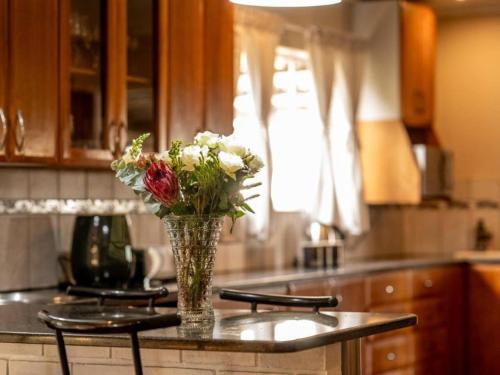 dapur, Anna Africa Guest House in Pellissier