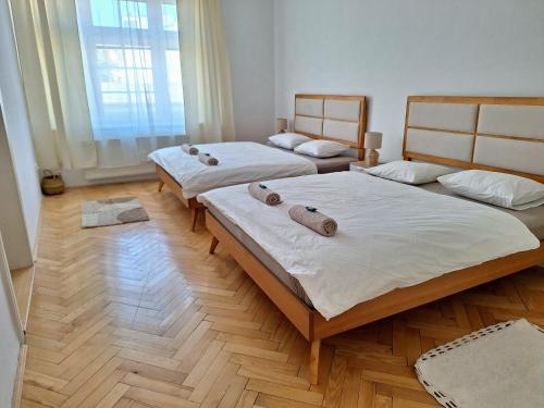 Apartment Boho - Old Town, Bratislava (photo 3)