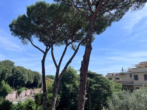 Surrounding environment, Green Park San Pancrazio in Trastevere