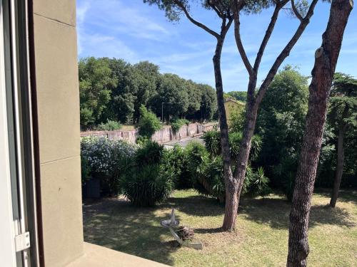 Garden, Green Park San Pancrazio in Trastevere