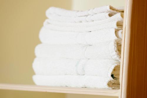 Macdonald Hotel - image 10