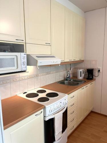 Kitchen, Nuutajarvi yksio in Urjala