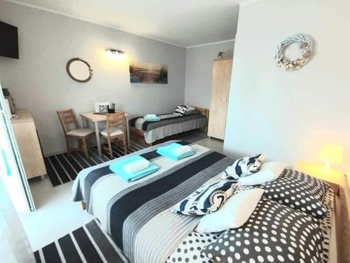 Zorza in Władysławowo