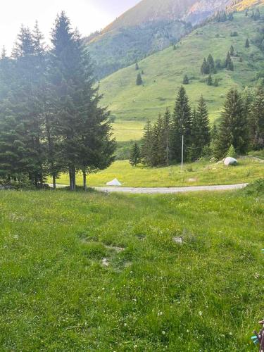 Achak in Plav