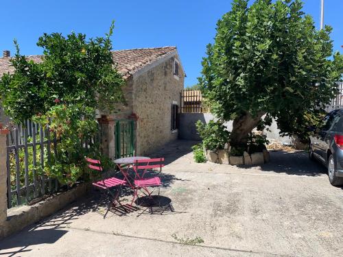 Bouganville in Villamar