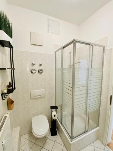 Large apartment in Pieschen, Drážďany (fotografie 7)