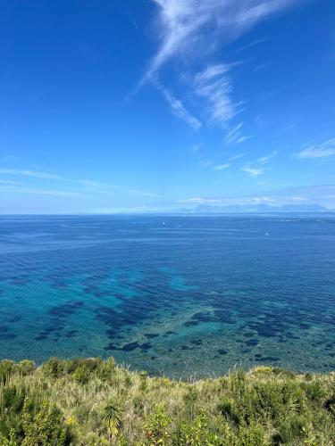 CasAmare Holiday Apartment