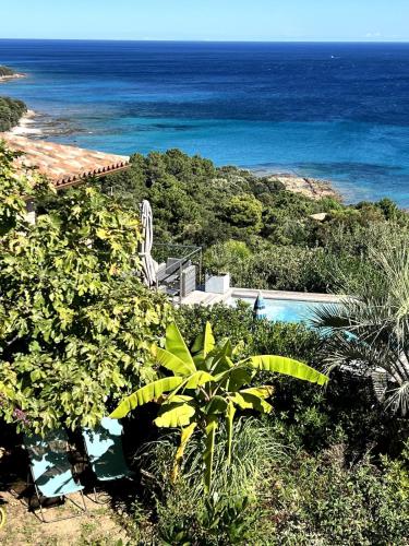 Villa with pool, sea view, Ste Lucie de Porto-Vecchio, Conca (foto 3)