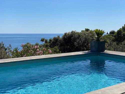 Villa with pool, sea view, Ste Lucie de Porto-Vecchio, Conca (foto 6)