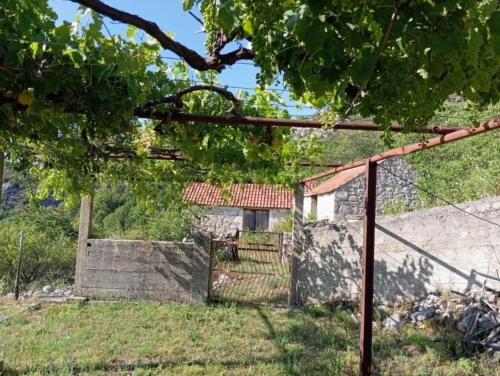 Rustic house Hutovo Blato in Humac