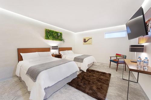 . Hotel Urban 101
