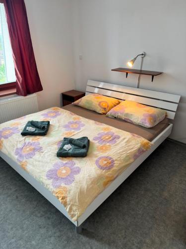 Formanka Mladějov - Pension 1 (Formanka Mladejov - Pension 1) in ซามอสติ-บลาตา