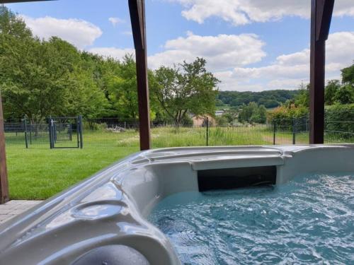 Eifel Dream Krausbuche in 弗萊靈恩