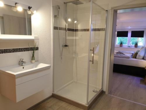 Eifel Dream Krausbuche in 弗萊靈恩