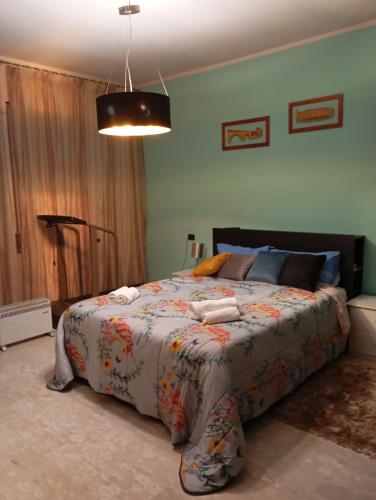Next b&b, Frosinone (fotografie 10)