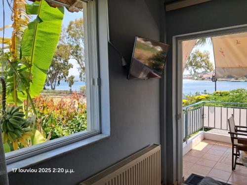 Top floor on villa, 3' from center, by the sea! Host is Efi Kwsta in Psathaki
