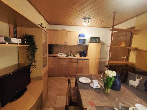ansimali 2 - 1Zimmer-Apartment mit Wohn- und Schlafraum, integrierter Kuchenzeile, separater Dusche  in Grunhain-Beierfeld