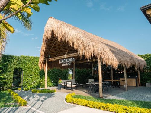 Atardeceres del Cafe