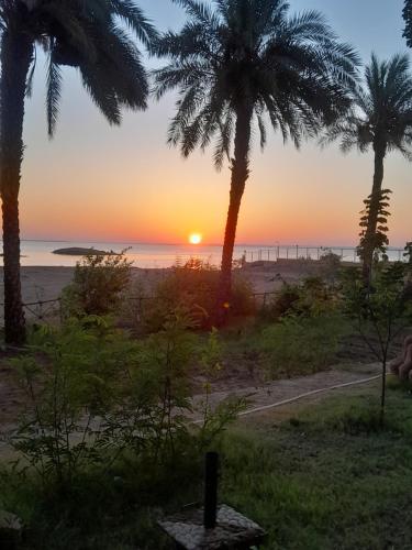 Osiris Guest House in Abu Simbel