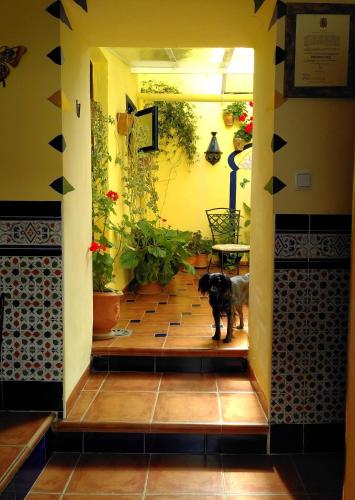 Baraka Boutique Pensión, Ronda (photo 6)
