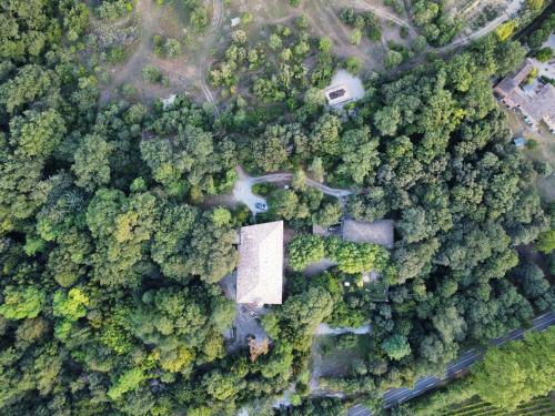 Domaine Daulone plein sud - Location saisonnière - Vaison-la-Romaine