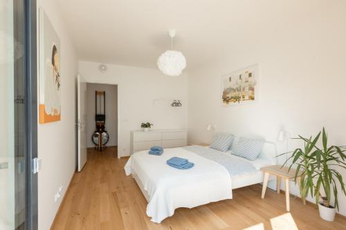Contemporary apartment with garage parking, Prague (photo 8)