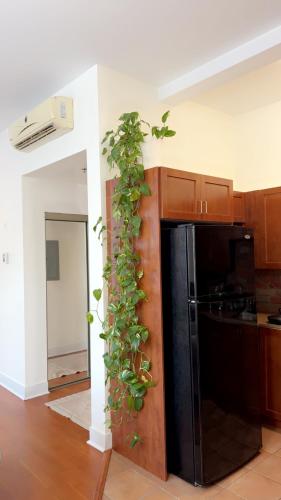 Spacious Condo with a Bright Interior in LaSalle
