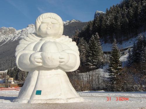 Hotel Stella Alpina 3