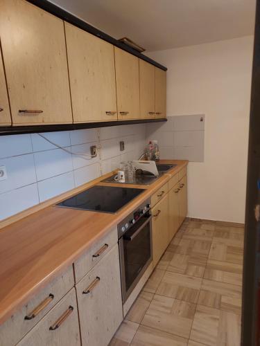 Samoobslužný Apartmán v okresu Děčin (Samoobsluzny Apartman v okresu Decin) in Velka Bukovina