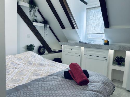 Cocon au cœur de Strasbourg, Strasbourg