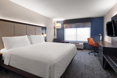 Holiday Inn Express St. Petersburg North / I-275 an IHG Hotel - image 5