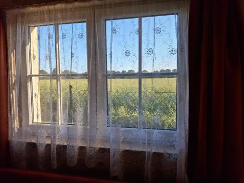 柏林 Ferienhaus Karow 3星级 单人房 客房