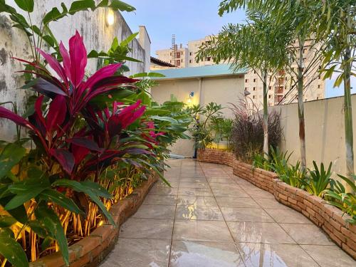 Studio-House with Tropical Garden, Belo Horizonte