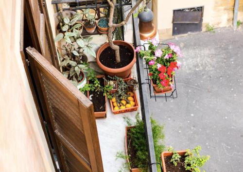 B&B Porta Bagni - image 6