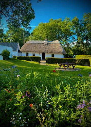Murphys Thatched Cottage in 密契爾鎮