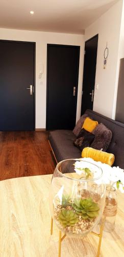 Koplietošanas atpūtas telpa ar TV, 3 Liberte- 3rd in Saint-Affrique (Midi-Pyrenees)