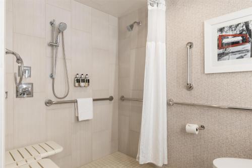King Room - Disability Access image 6