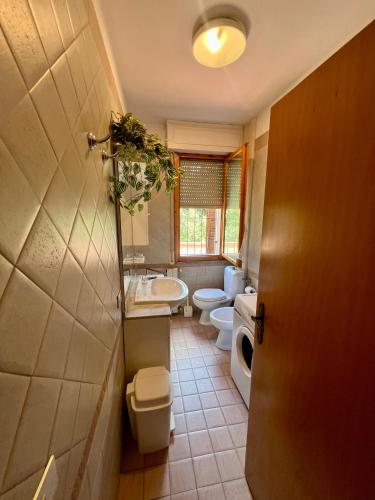 Baño, Casa dei Ricordi in Tirrenia