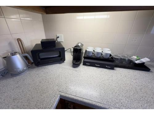 The Residence Hotel Okayama - Vacation STAY 43043v