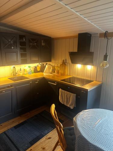 Høstkos og ro på Budor, 4 roms hytte med peis og wifi (Høstkos og ro pa Budor, 4 roms hytte med peis og wifi) in เอลเวรุม