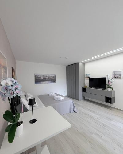 LuceSuite, Bari