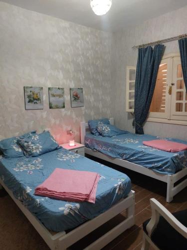 Chalet with Garden Marina 5, El Alamein (fotografie 7)