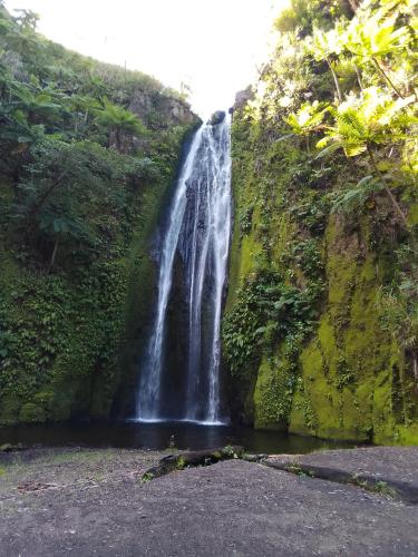 Tree Home Adventure in Isaka