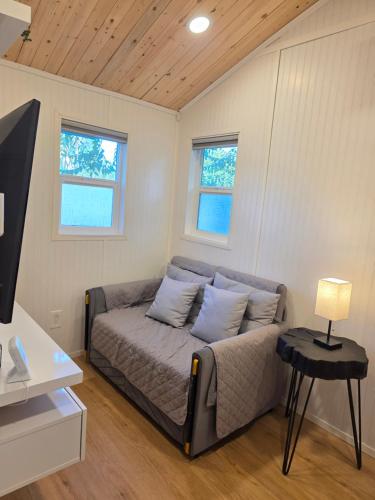 1BD 1BA tiny house with in-unit washer and dryer near Kaiser in Los Angeles, USA