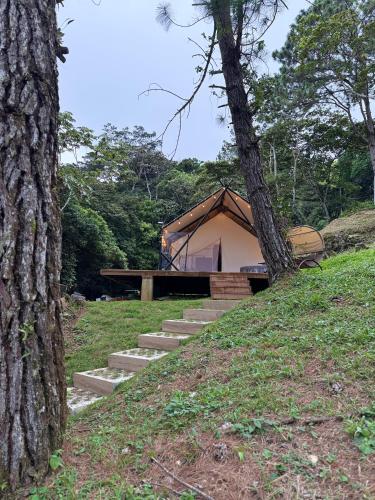 Safari Glamping By Ohana Green Home in La Laguna