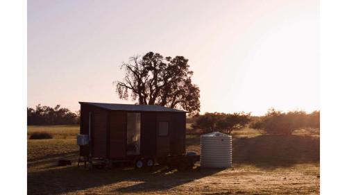 Orana Cabin by Tiny Away