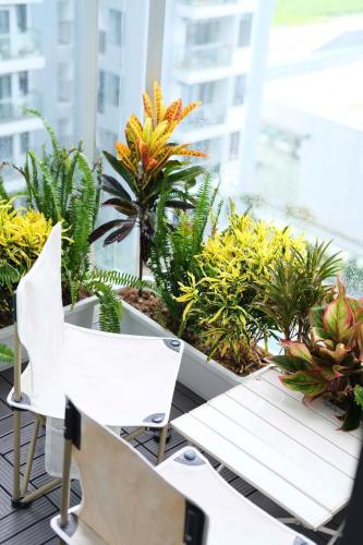 Bao Han Nera 2 near Thanh Toan Bridge